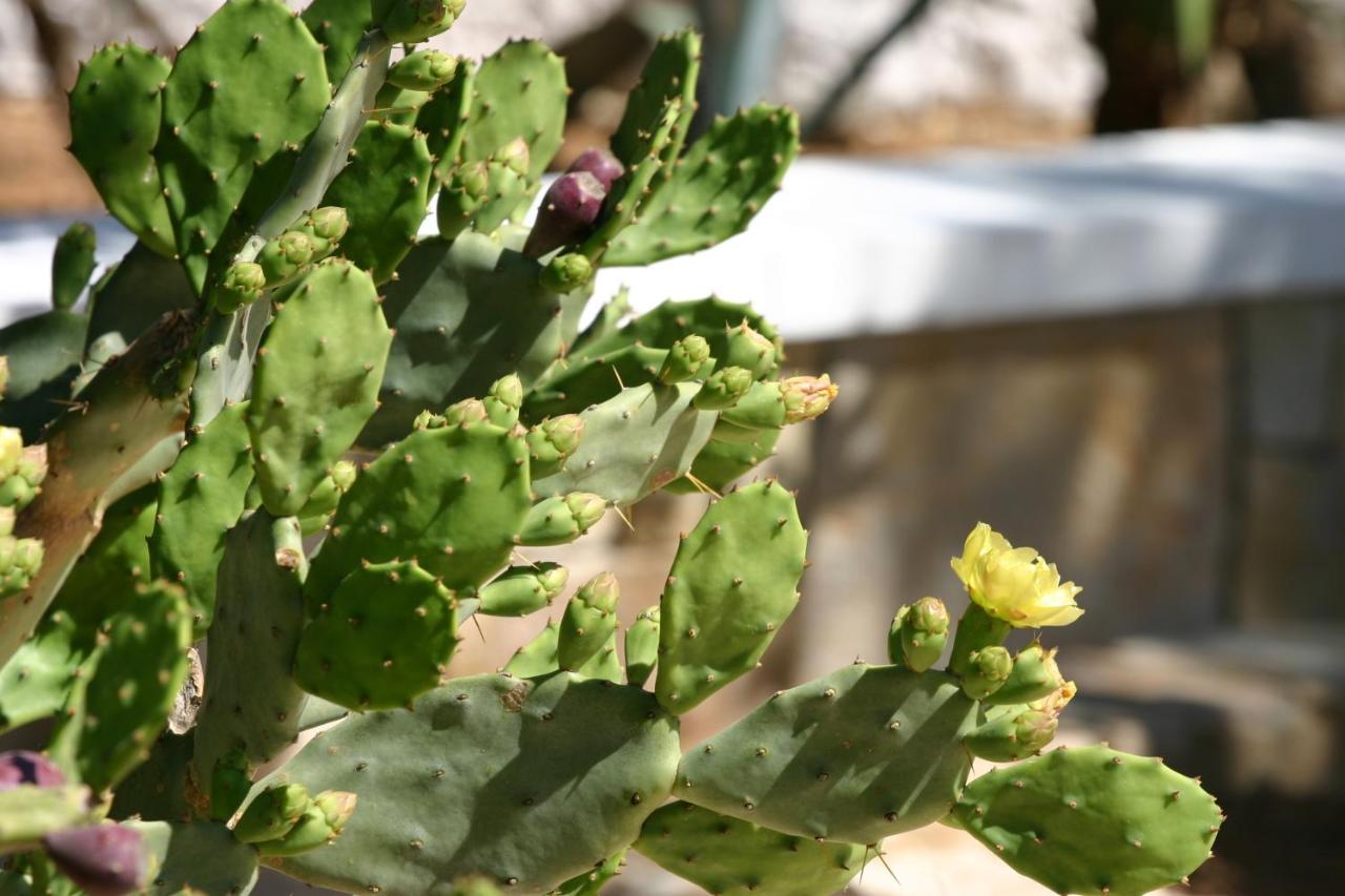 LMP Agriturismo Resort Costa House מראה חיצוני תמונה
